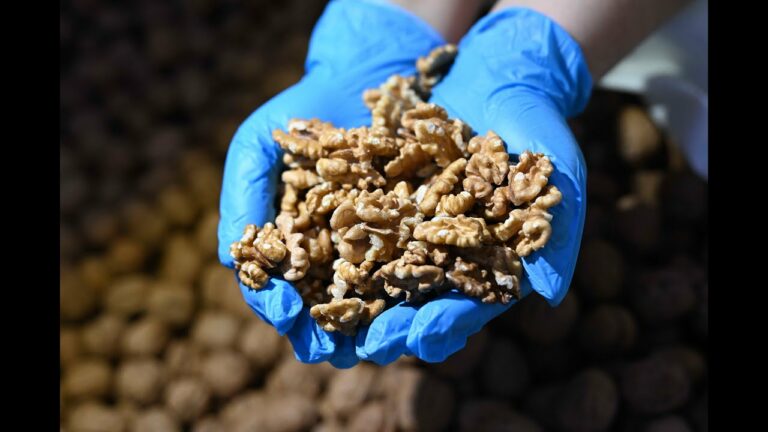 Հայաստանի գյուղատնտեսությունը՝ ազգային անվտանգության հիմնաքարը